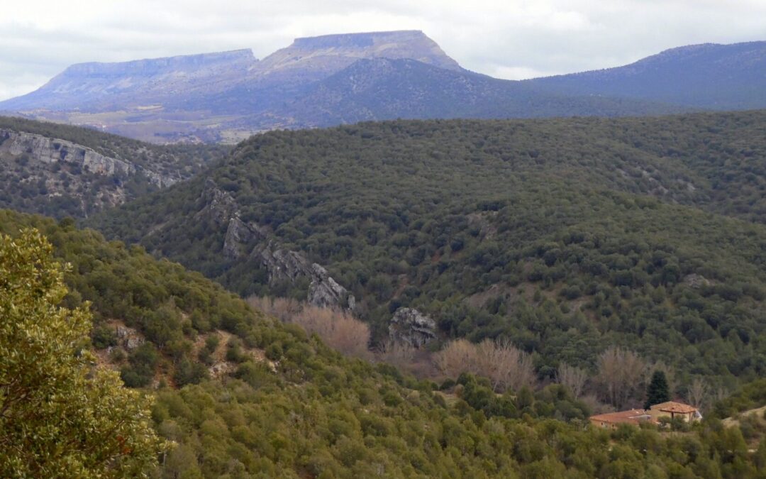 Bosques del Arlanza